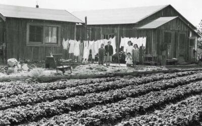 Robin Materials Information