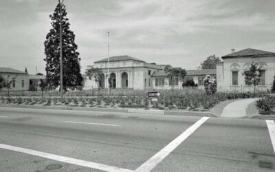 Ron Witherspoon Incorporated Information